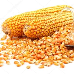 Organic Maize Whole