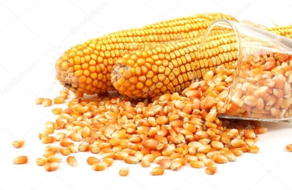 Organic Maize Whole