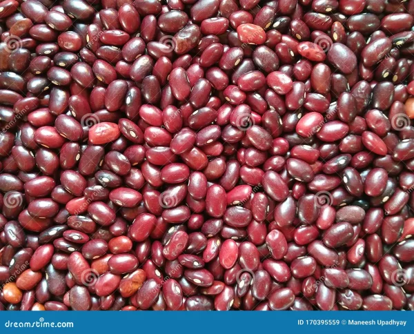 Organic Kidney Bean -Kalsi