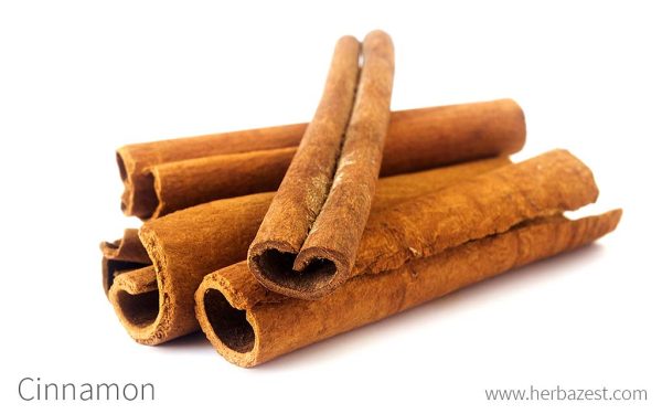 Cinnamon Bark