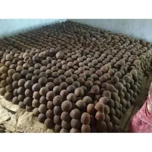 Palm Jaggery (Karupatli)