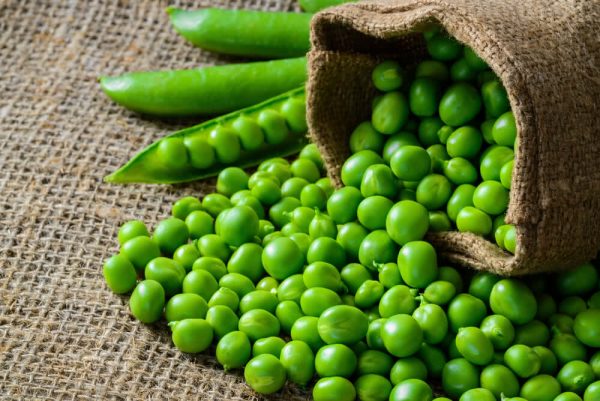 Green Pea