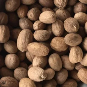 Nutmeg (Jaiphal)