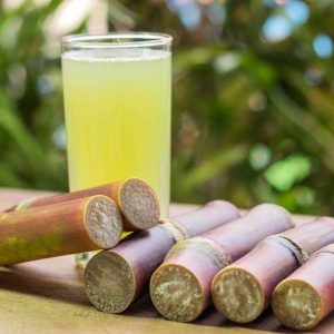 Sugarcane