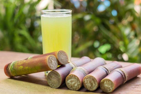 Sugarcane